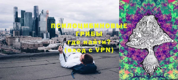 стаф Алзамай