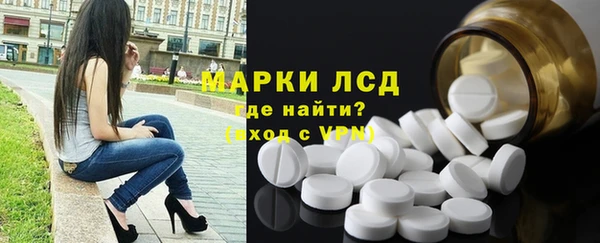 стаф Алзамай